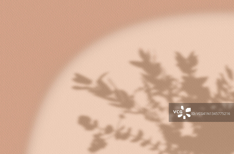 模糊花影墙淡米色背景图片素材