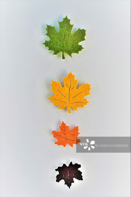 秋天的概念图片素材