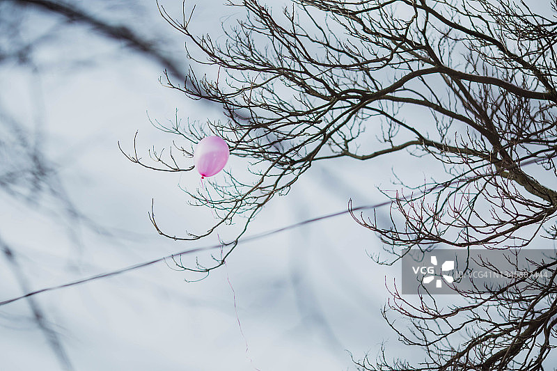 粉色气球飞向天空图片素材