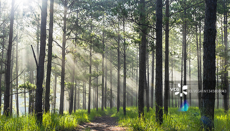 阳光迎接宁静的新一天图片素材