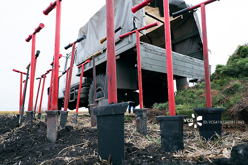 铲子和工具：科列索夫的剑和锄头插入地下，种植树木和冷杉树，以恢复田野、森林或自然保护区的森林。志愿服务、慈善、园艺、生态和环境保护概念图片素材