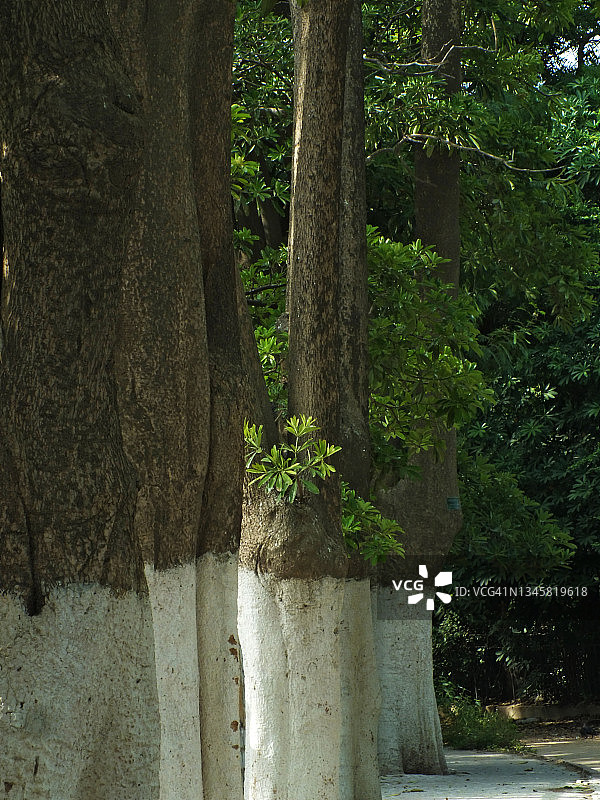 自然之美图片素材