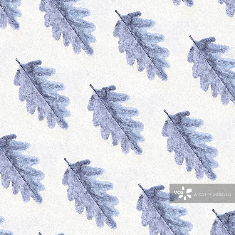 蓝色水彩橡树叶冬季艺术在纹理白色冷背景上的无缝图案图片素材