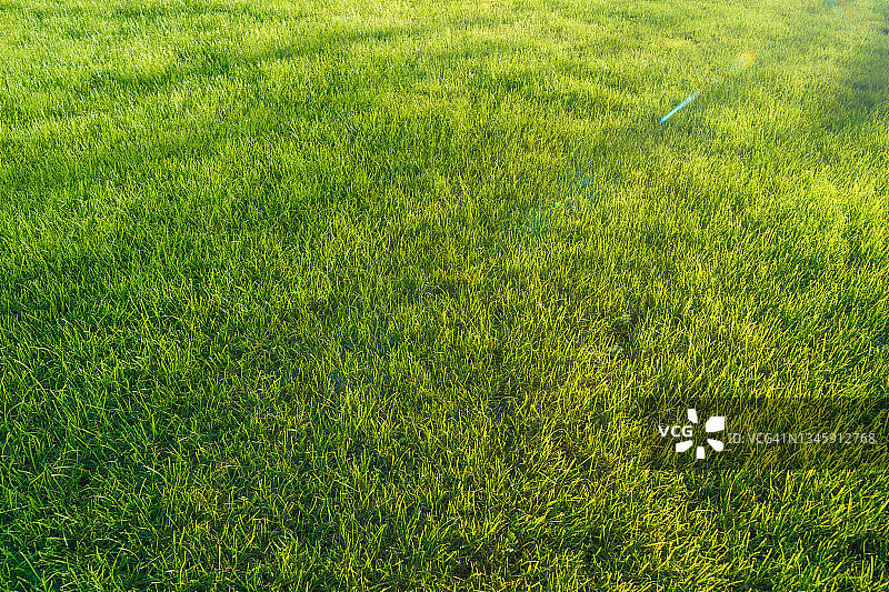 秋季的翠绿草甸图片素材