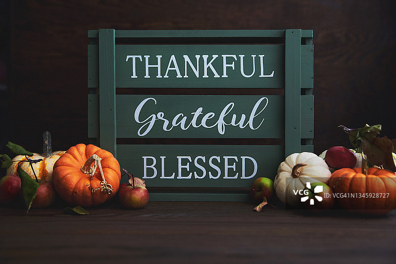 感恩节秋季静物：迷你南瓜和绿色木箱图片素材