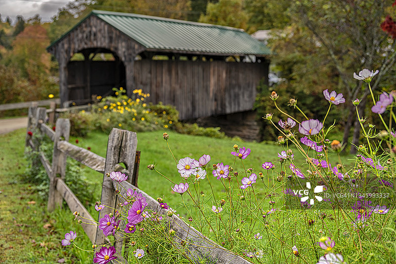 佛蒙特州蒙哥马利教堂街木制廊桥前的鲜花图片素材