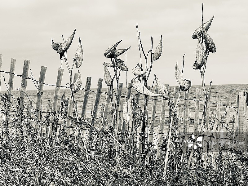 十月海滩风光图片素材