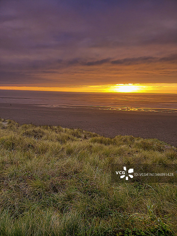 沙丘草和日落海滩图片素材