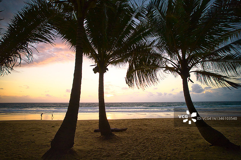 日落时分泰国普吉岛美丽沙滩和热带椰子树的低角度拍摄图片素材