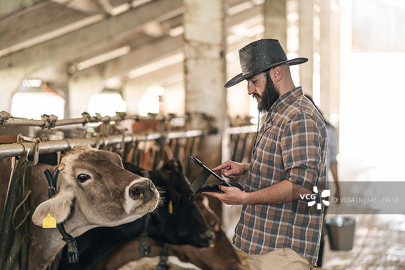 压力大的年轻男农民站在牛棚里，思考财务挑战和破产问题图片素材