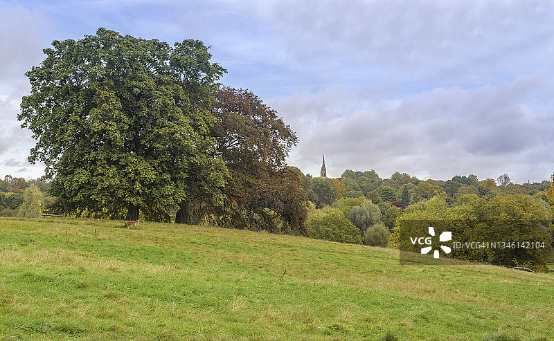 汉普斯特德荒原的丘陵图片素材