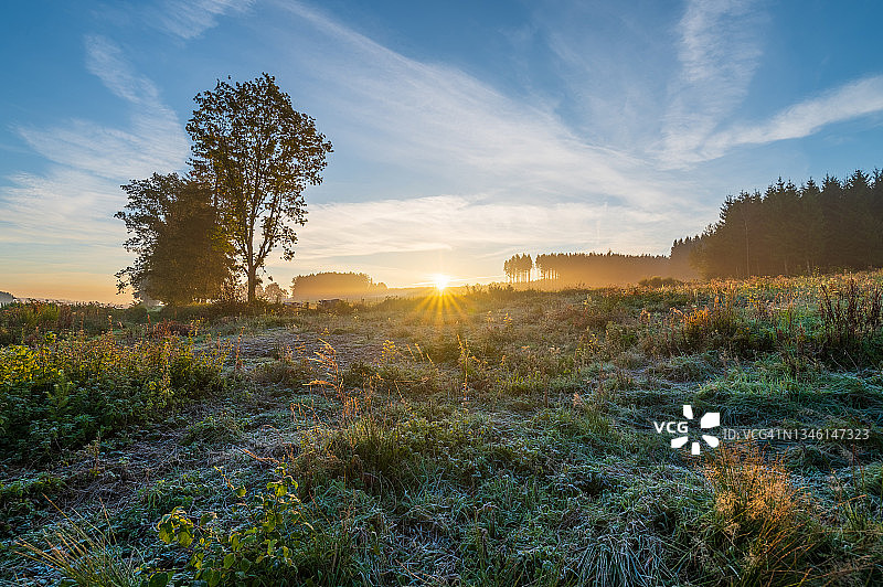 日出时田野上的晨霜图片素材