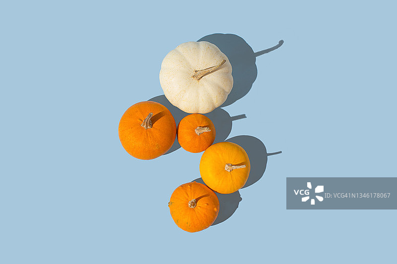 阳光照射下的橙白色南瓜，淡蓝色背景图片素材