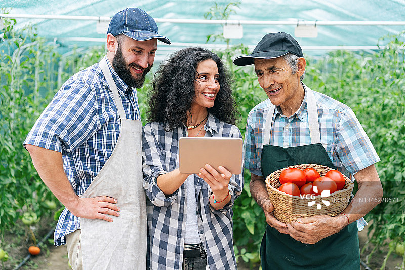 农场工人在温室中使用平板电脑图片素材
