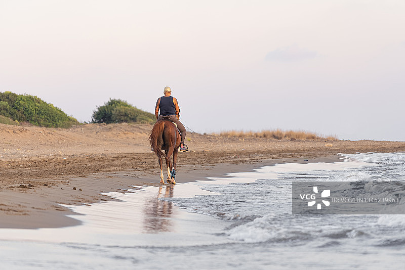 在海滩上骑马图片素材