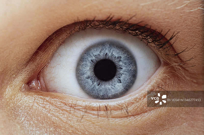 人眼特写图片素材