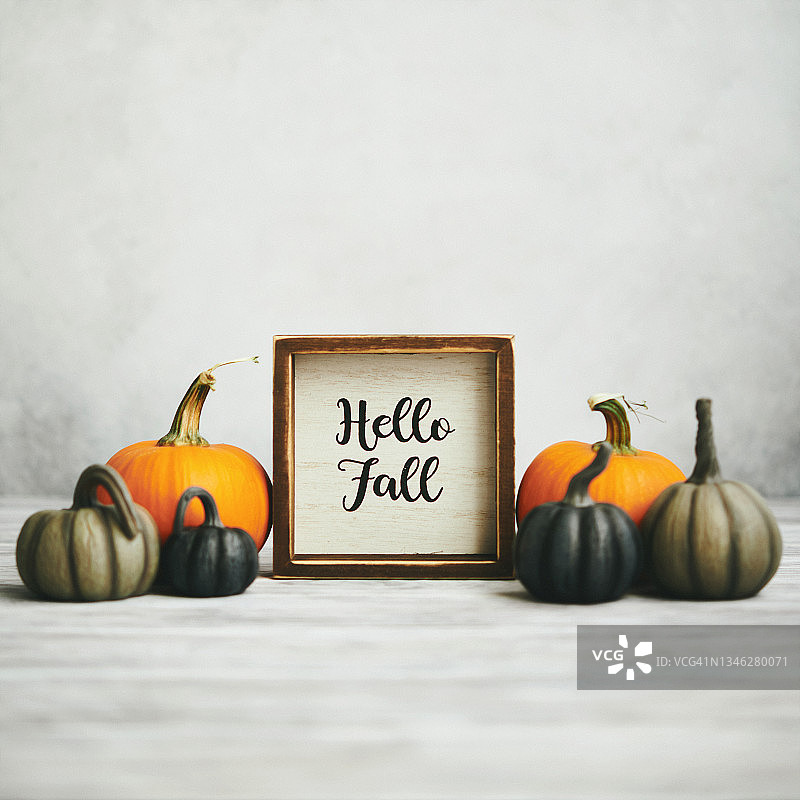 你好秋季消息与灰色背景上的小南瓜图片素材