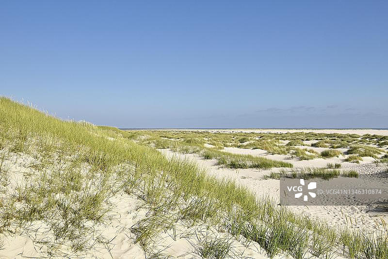 德国阿姆鲁姆岛的沙丘和海滩图片素材
