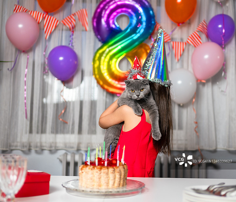 与宠物一起举办的生日派对图片素材