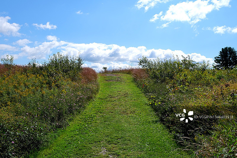 萨拉托加国家历史公园的绿草路图片素材