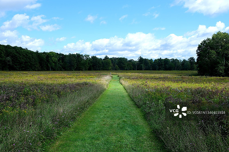 萨拉托加国家历史公园的绿草路图片素材