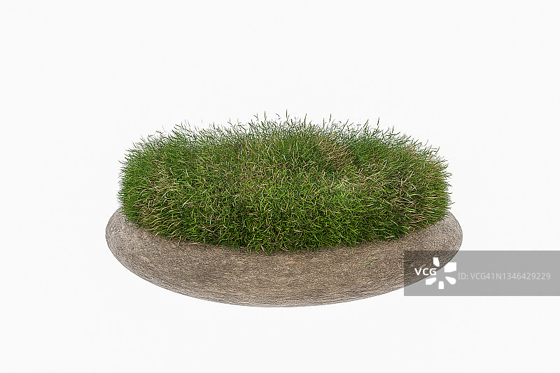 新鲜绿色植物的特写三维渲染（白色背景隔离）图片素材