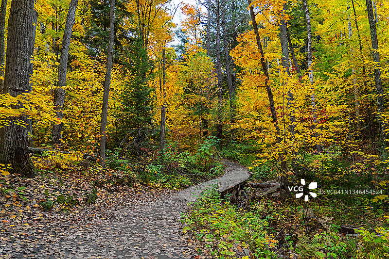 加拿大安大略省阿尔冈金省立公园瞭望台小径的秋色图片素材