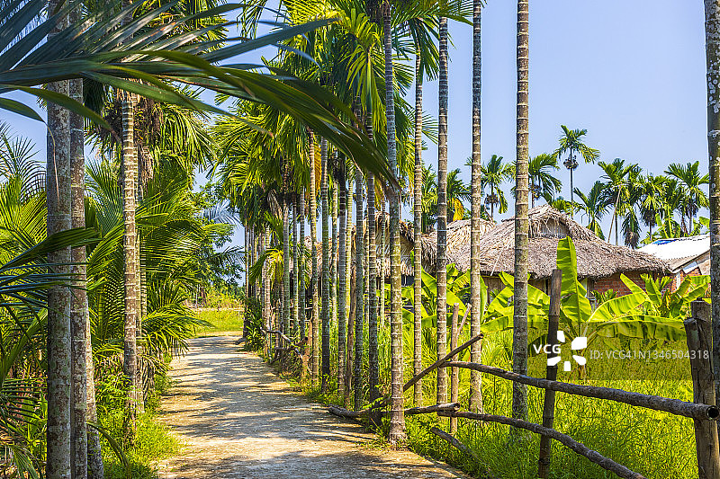 广南省（越南）的混凝土路图片素材