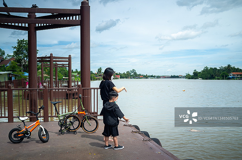 在码头喂鱼图片素材