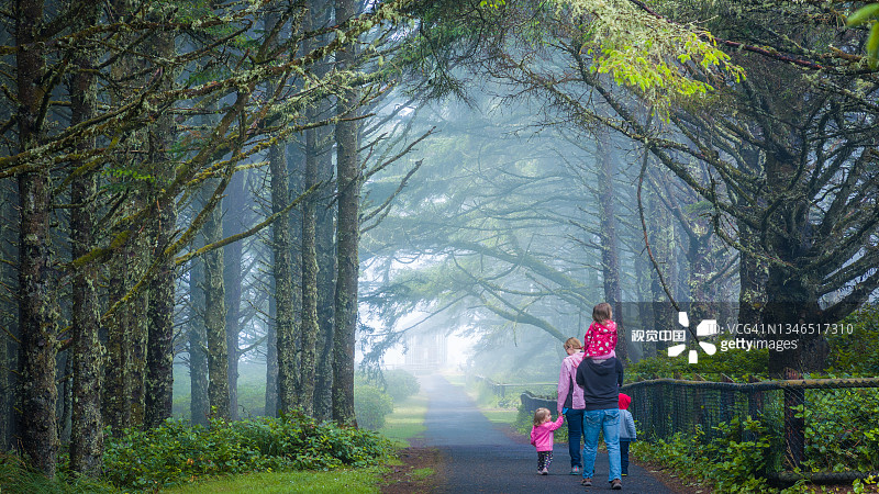 一家人在茂密的云杉森林小路上散步图片素材