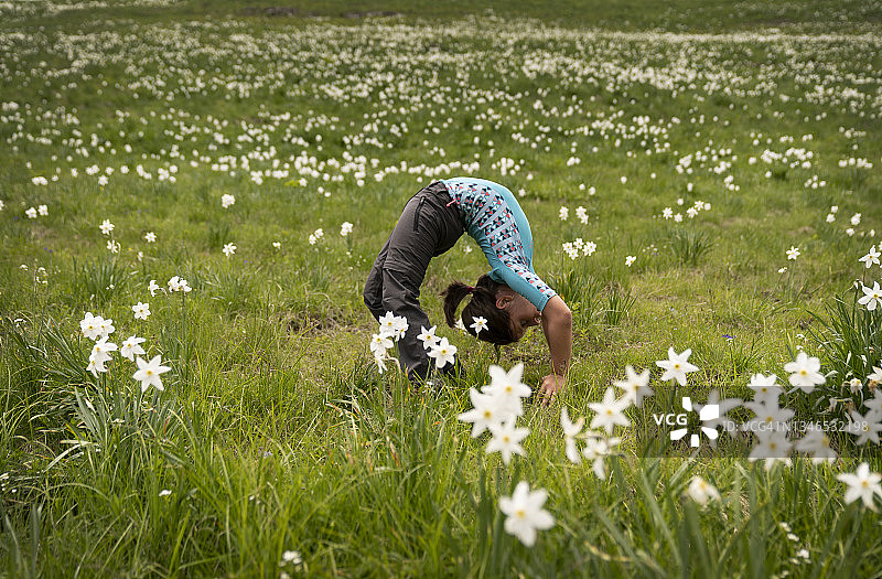 水仙花丛中的女孩图片素材