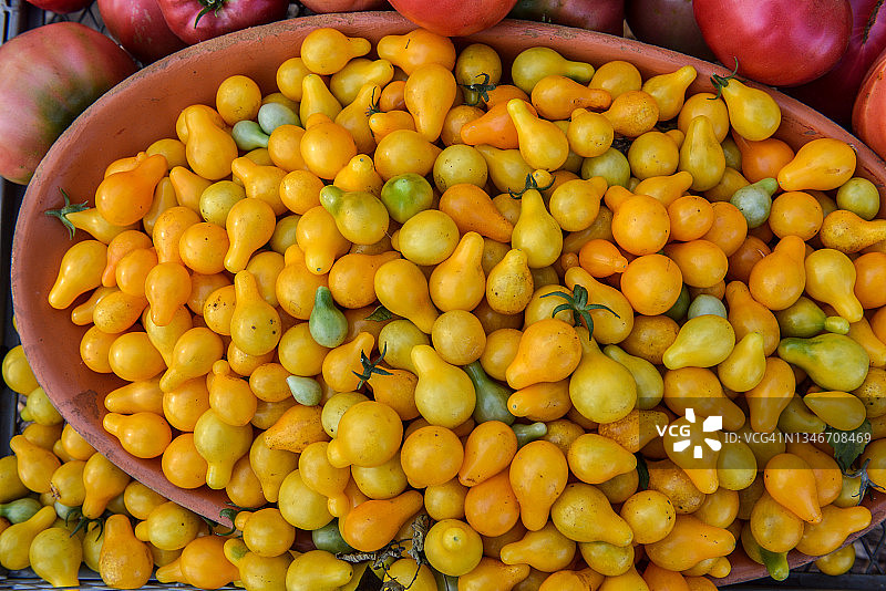 刚从花园采摘准备出售的黄梨番茄图片素材