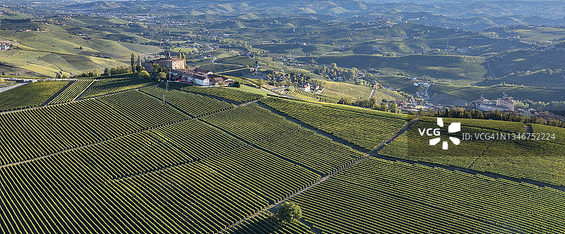 意大利北部山丘上的葡萄园图片素材