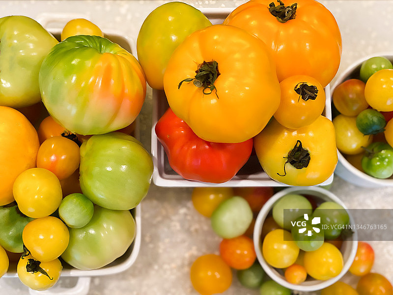 霜冻前的有机传家宝番茄的最后收获图片素材