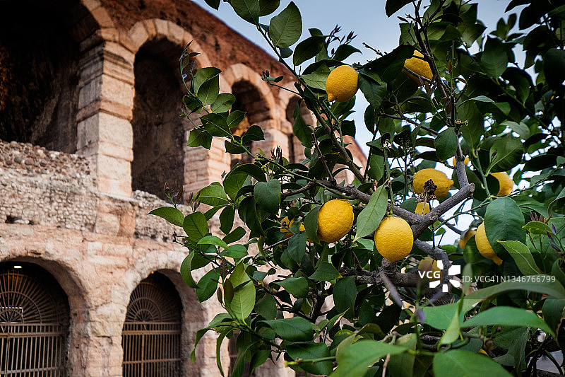 维罗纳竞技场图片素材