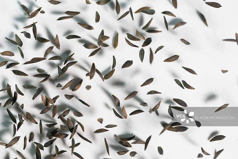 白色背景中飞舞的生菜种子图片素材
