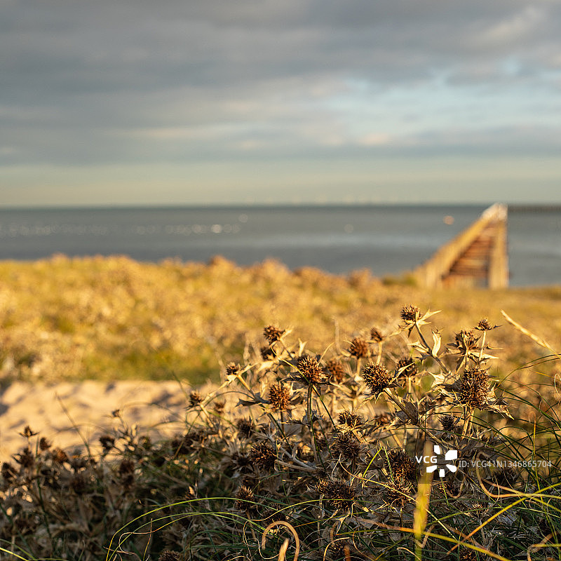 英格兰东南部海边风光图片素材