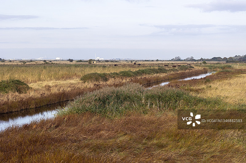 奥尔沼泽图片素材