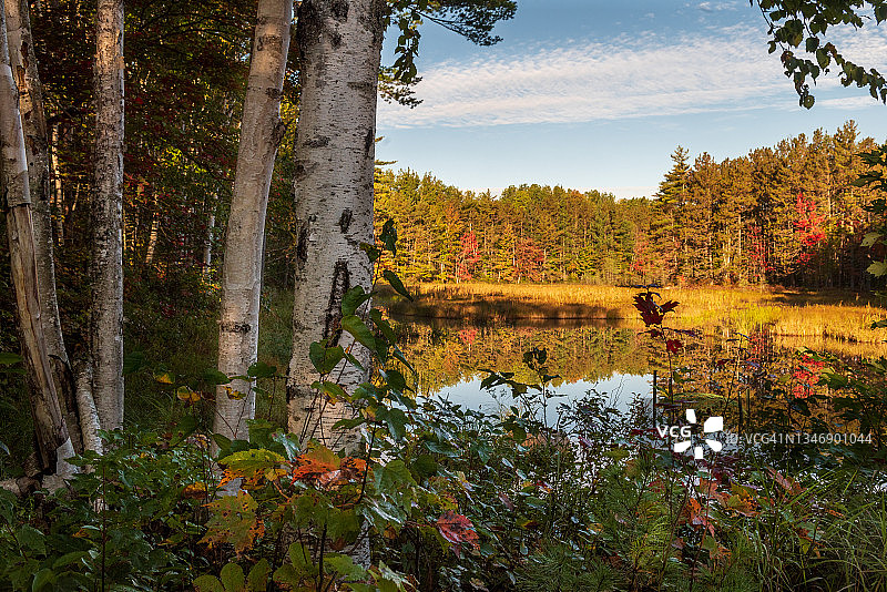 缅因州巴克斯特州立公园的池塘图片素材
