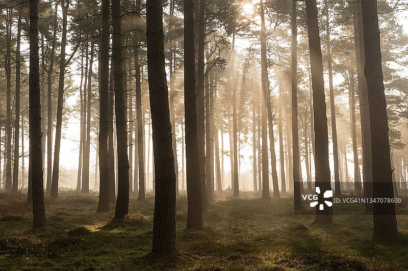 坎诺克蔡斯，斯塔福德郡，英国图片素材