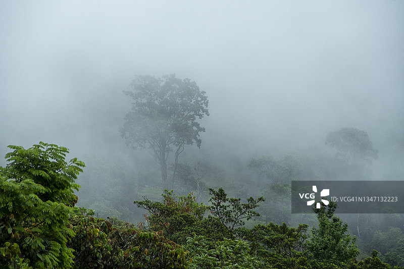 雾景（巴西米纳斯吉拉斯州艾乌鲁欧卡）图片素材