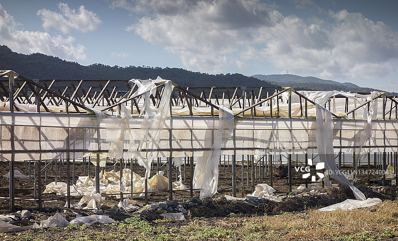 正在分解的塑料温室 - 塑料污染图片素材