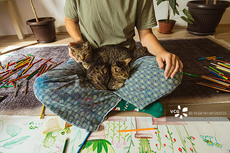 猫和幼猫在女主人腿上舒适地睡觉图片素材