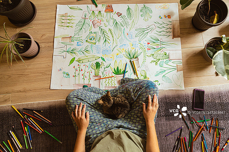 可爱的猫咪坐在主人的腿上，女人试图进行一些艺术创作图片素材