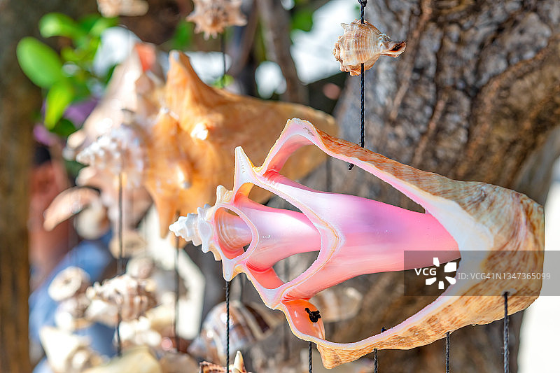 用贝壳制成的纪念品图片素材