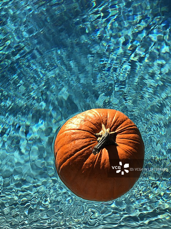 秋季亮橙色南瓜漂浮在蓝色泳池中图片素材