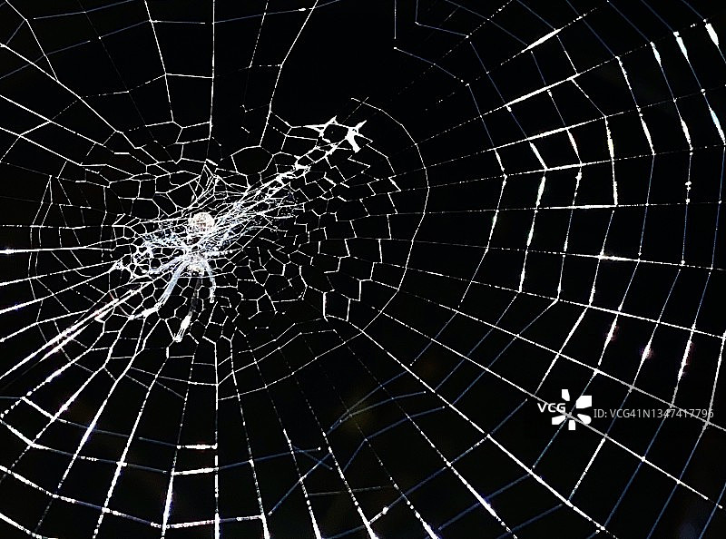 蜘蛛网特写，用作背景图片素材