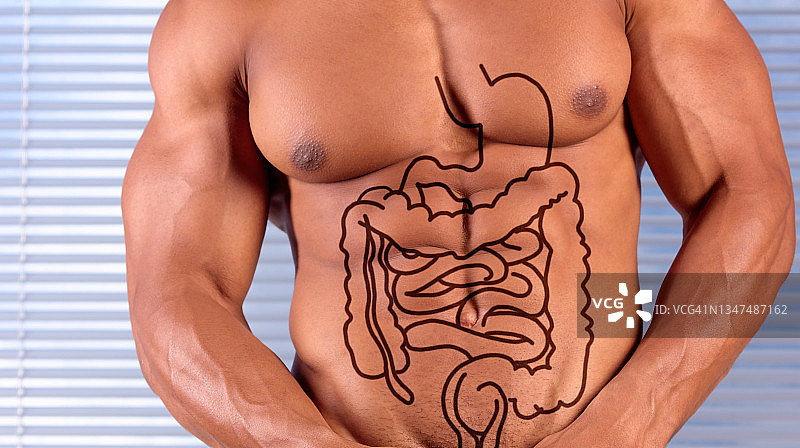 呵护您的肠道图片素材