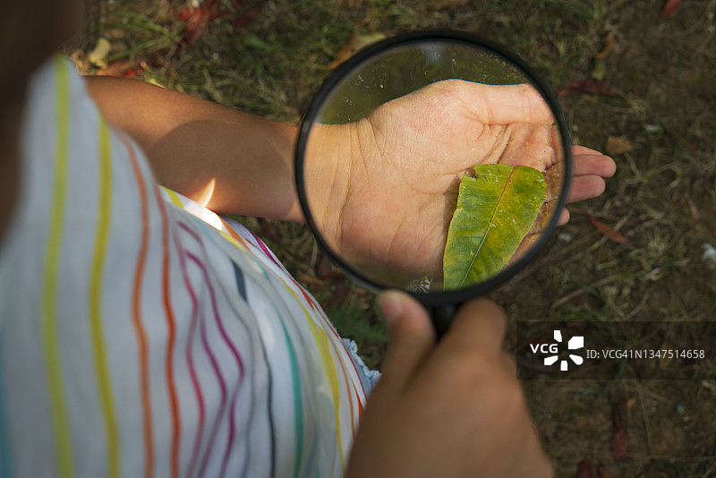 小小探险家图片素材