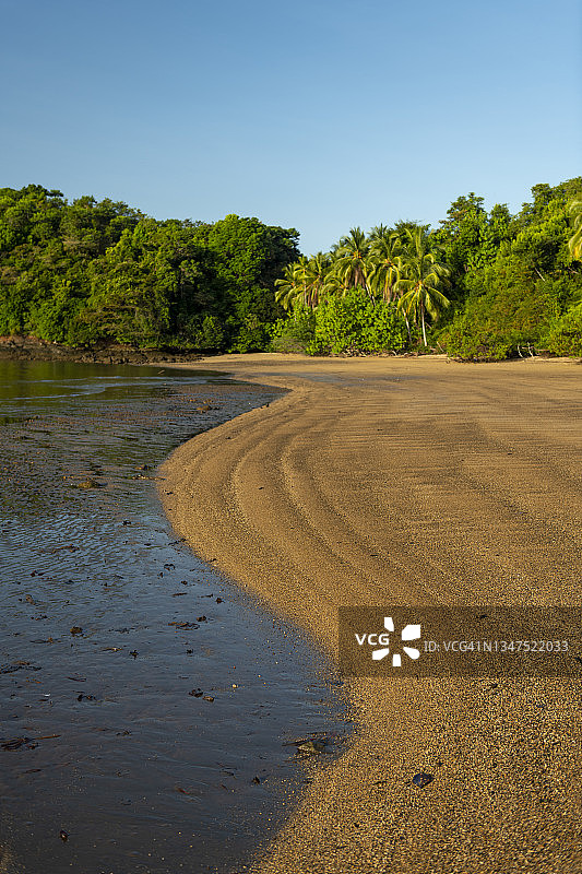科伊瓦岛退潮时太平洋沙滩景色图片素材
